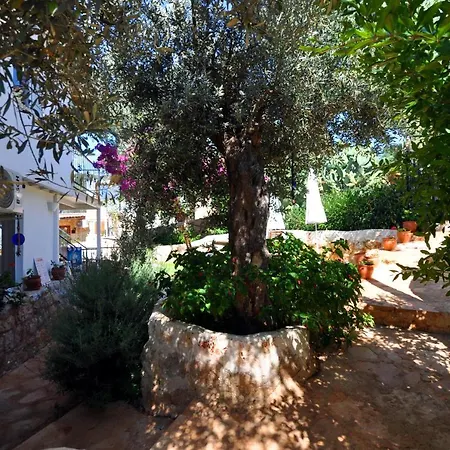 Aparthotel Kaktus